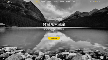 Vitu.AI - 数据从不说谎 - 区块链的世界也不例外